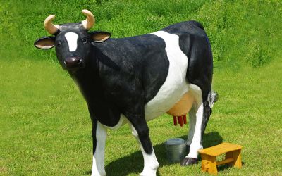 krowa-01